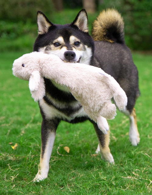 Load image into Gallery viewer, Dog Squeaky Chew Toys Fun Skin,Plush,Log
