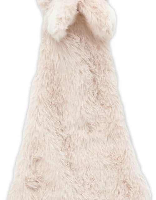 Load image into Gallery viewer, Dog Squeaky Chew Toys Fun Skin,Plush,Log
