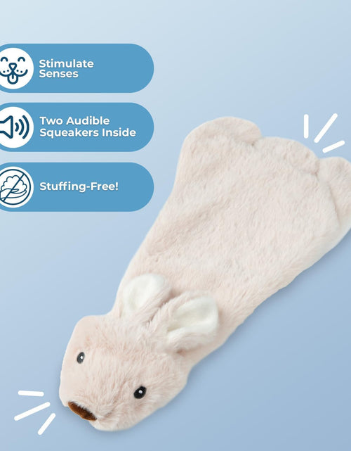 Load image into Gallery viewer, Dog Squeaky Chew Toys Fun Skin,Plush,Log
