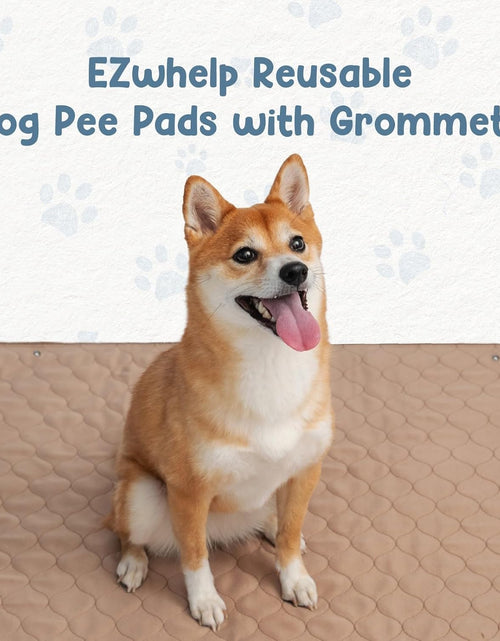 Load image into Gallery viewer, Reusable Dog Pee Pads - Waterproof Training Pads for Dogs - Washable &amp; Sanitary - Rounded Corners - Laminated, Lightweight, Durable - Pet Essentials for Puppy Training and Whelping - 48" X 60"
