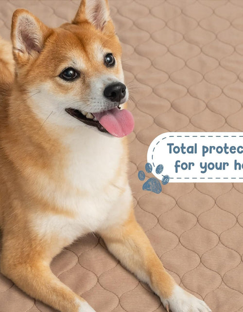 Load image into Gallery viewer, Reusable Dog Pee Pads - Waterproof Training Pads for Dogs - Washable &amp; Sanitary - Rounded Corners - Laminated, Lightweight, Durable - Pet Essentials for Puppy Training and Whelping - 48" X 60"
